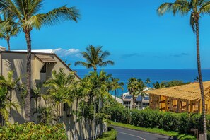 A coastal residential area with palm trees, a curved road, and a view of the ocean.