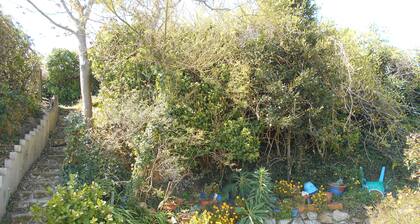 Maison de douanier les pieds dans l'eau