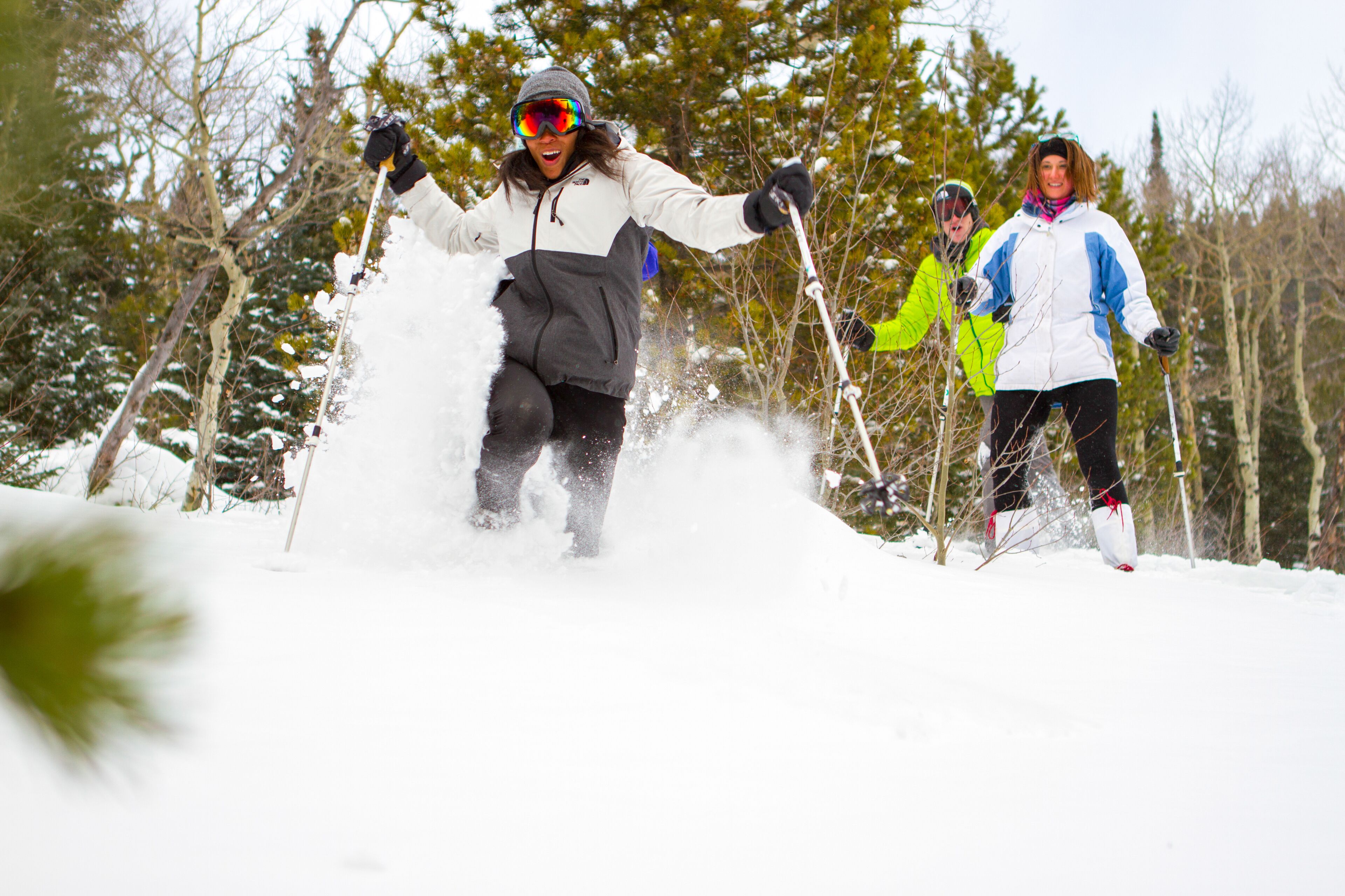 A person skiing in a snowy forest.