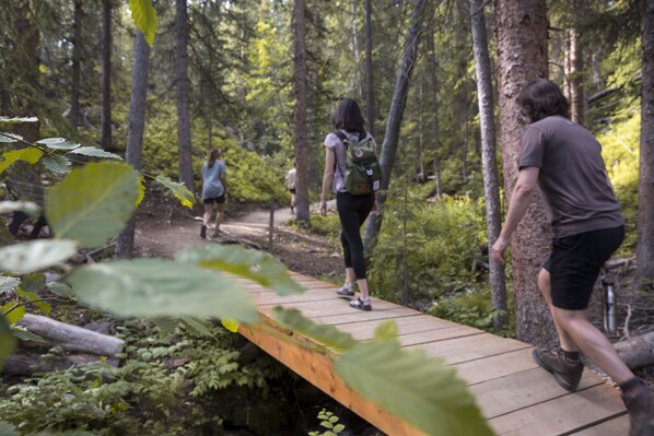 A wooden boardwalk in a forested area with people walking.