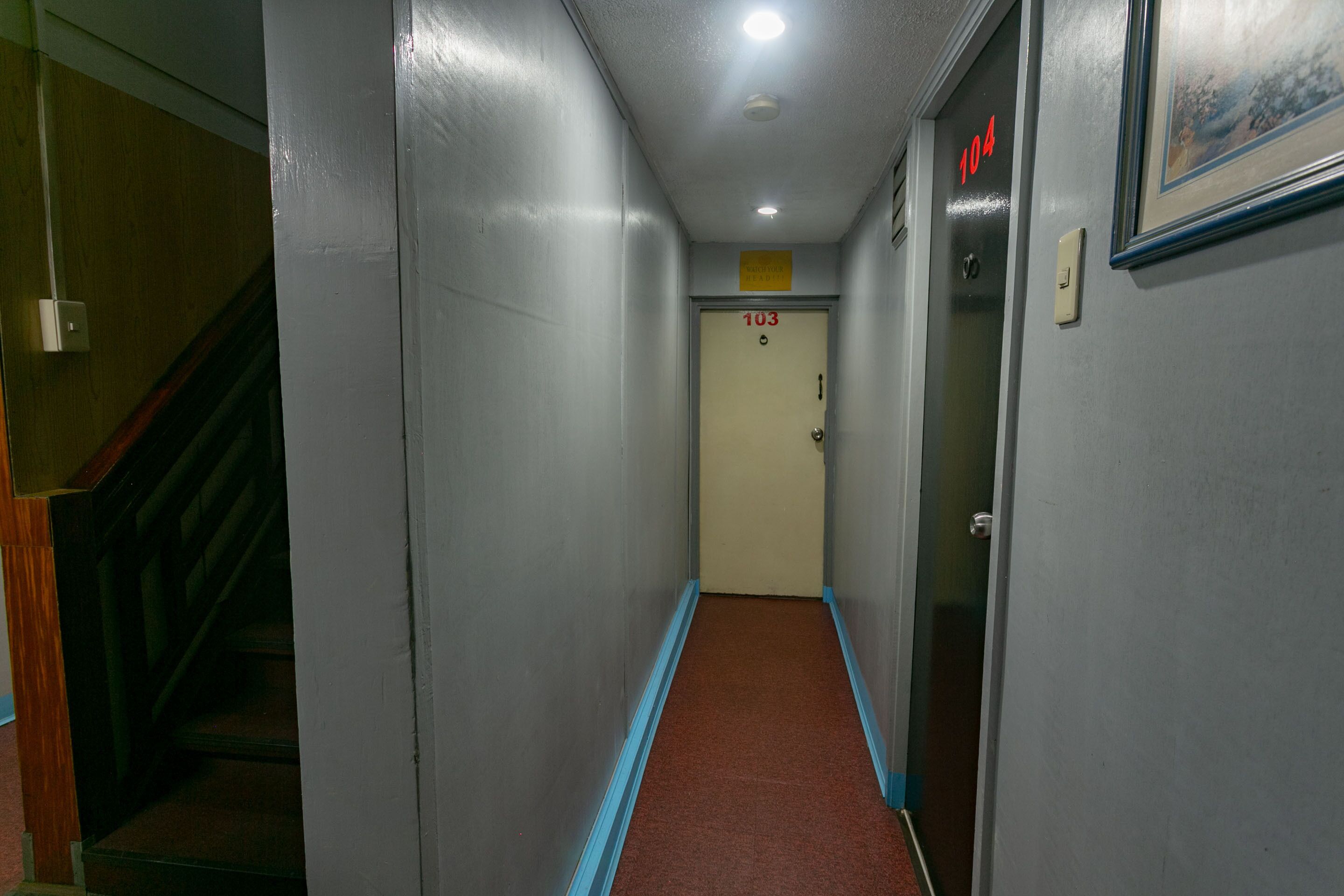 A narrow hallway with a red carpet, a wooden staircase to the left, and a door labeled 103 at the end.