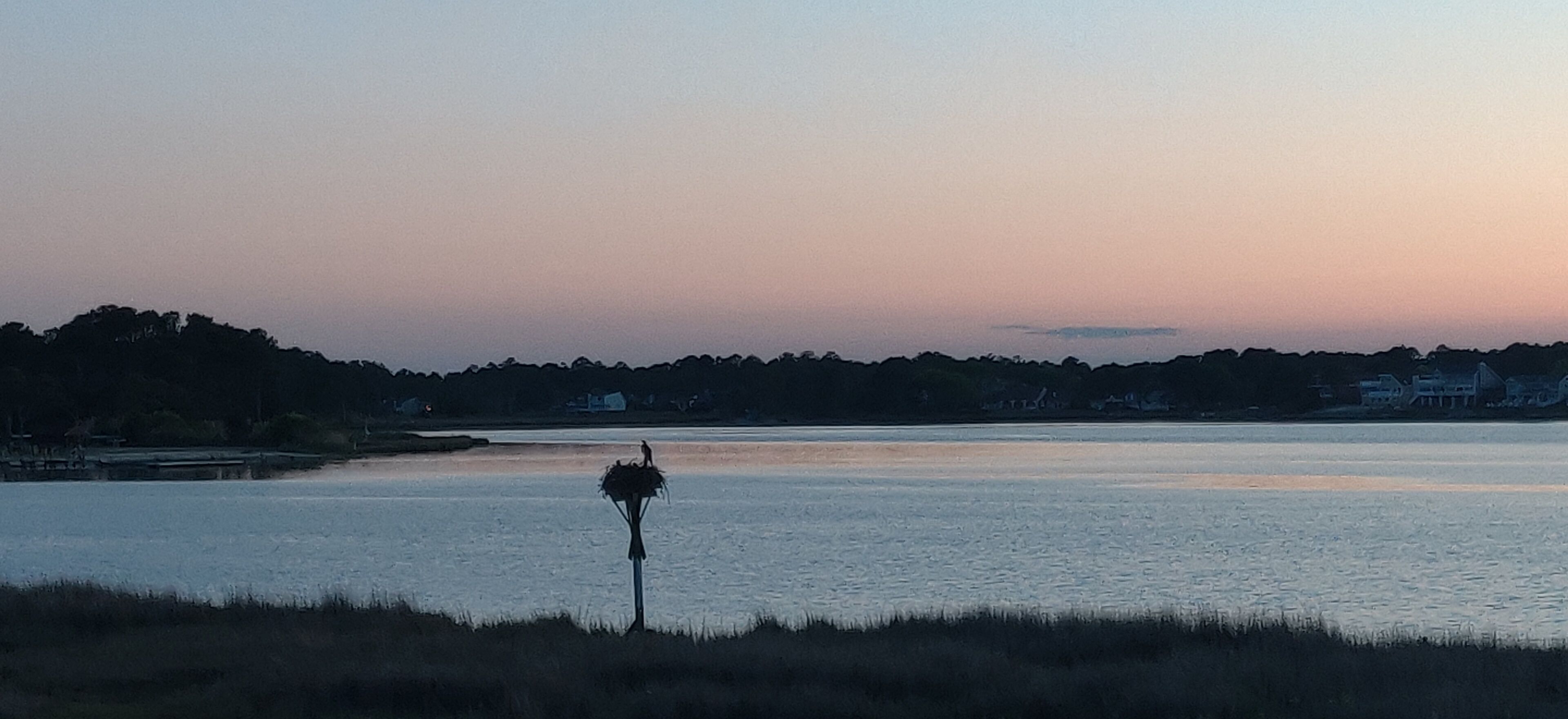 A serene lakeside view with a solitary lamp post in the foreground, a calm water surface, and a distant shoreline with trees and buildings.