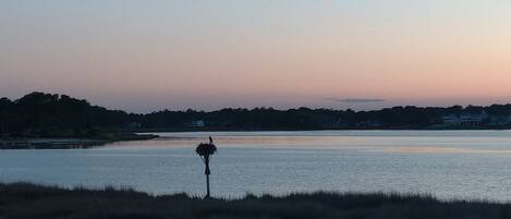 A serene lakeside view with a solitary lamp post in the foreground, a calm water surface, and a distant shoreline with trees and buildings.