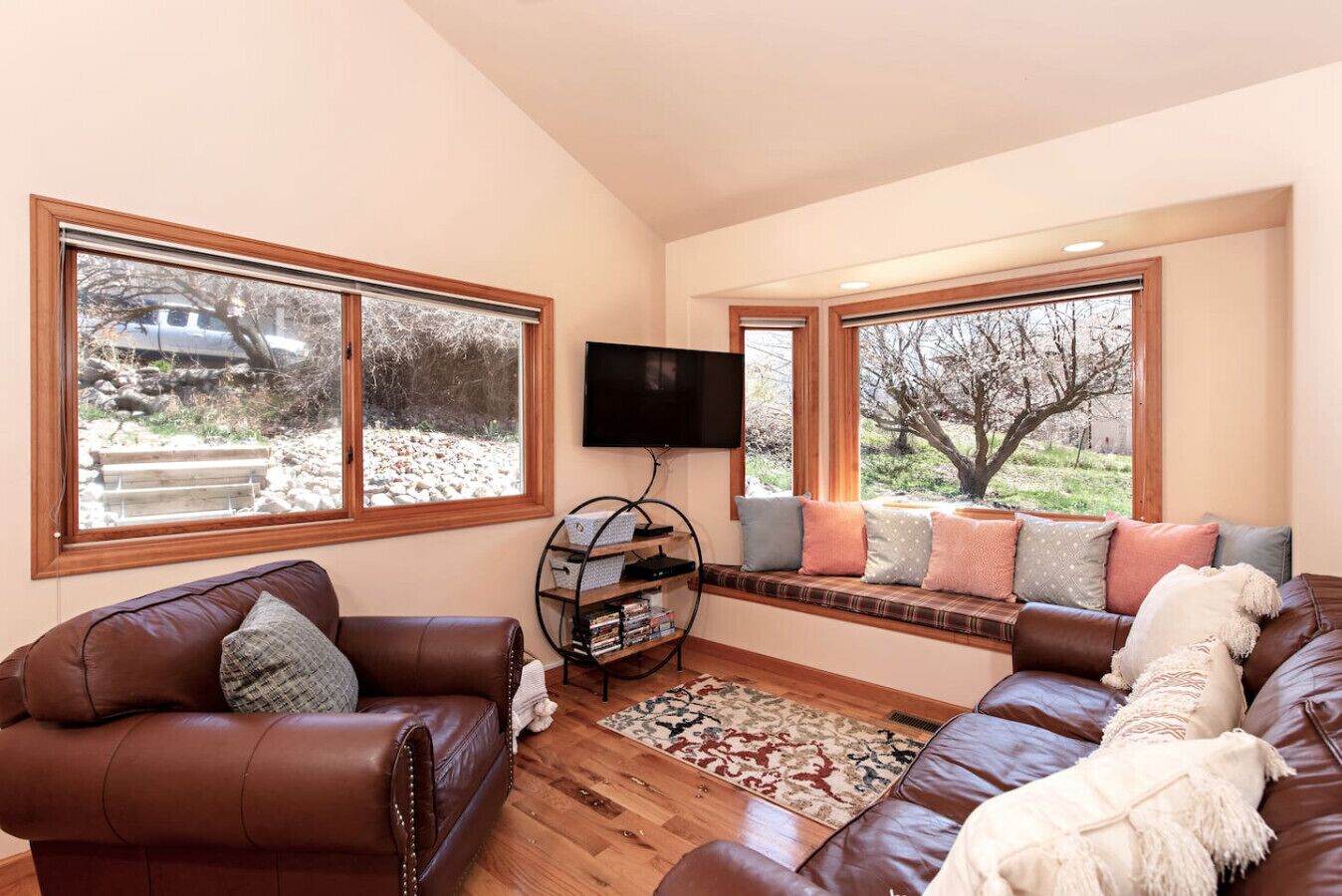 TV connectée, lecteur de DVD, vidéothèque