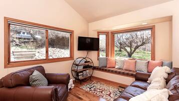 TV connectée, lecteur de DVD, vidéothèque