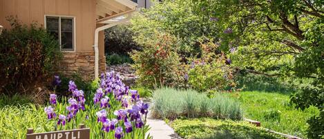 المنطقة المحيطة بالمنشأة