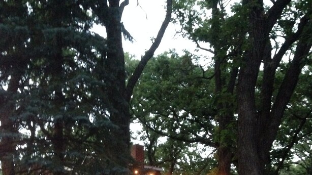 A wooden deck with string lights, surrounded by trees.