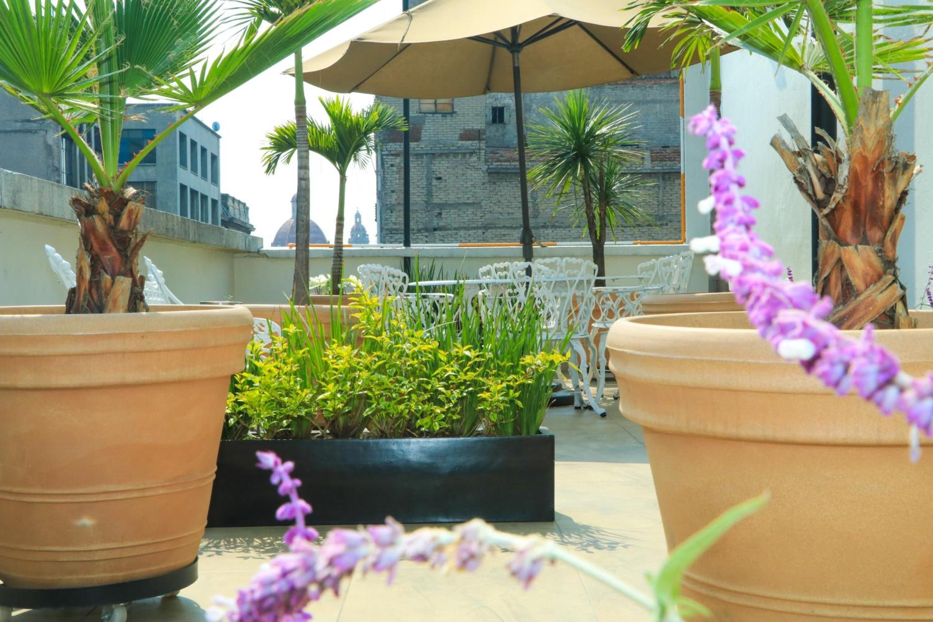 Photo - Hotel Habana