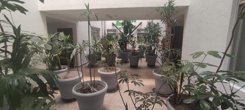 Photo - Hotel Habana