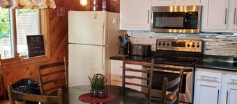 Lake Front 3 Bedroom cabin with FREE use of pontoon. 