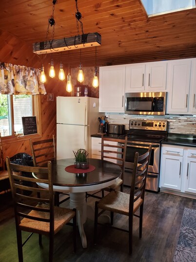 Lake Front 3 Bedroom cabin with FREE use of pontoon. 