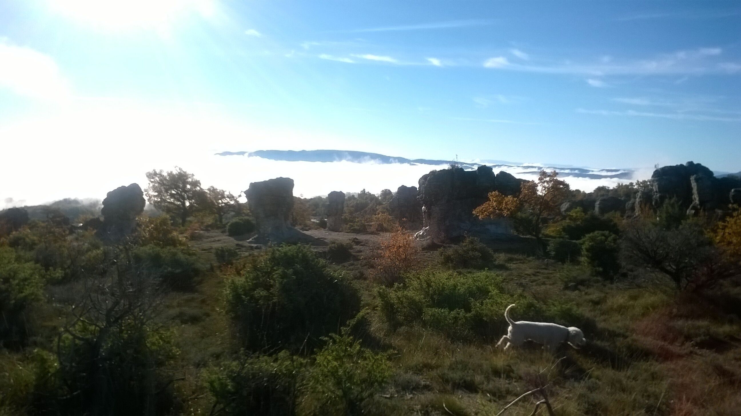 Eine Landschaft mit Felsformationen und einem Hund im Vordergrund.