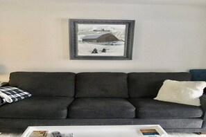 TV - Schuss Village Studio condo 1 bathroom, king bed Completely renovated! Pool (Mancelona)