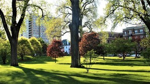 Een park met volwassen bomen, een gazon en een gebouw op de achtergrond.