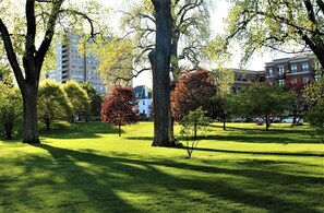 Escape to a serene park setting surrounded by mature trees and a well-manicured lawn.