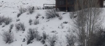 A little cabin getaway nestled on the Colorado River just 90 minutes from the fr