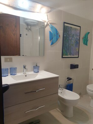 Chuveiro, secador de cabelo, bidê 