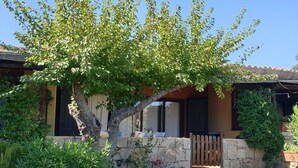 A house with a stone wall, a wooden fence, and a tree in the front yard. - Costa Serena, cottage near the sea. (Palau)