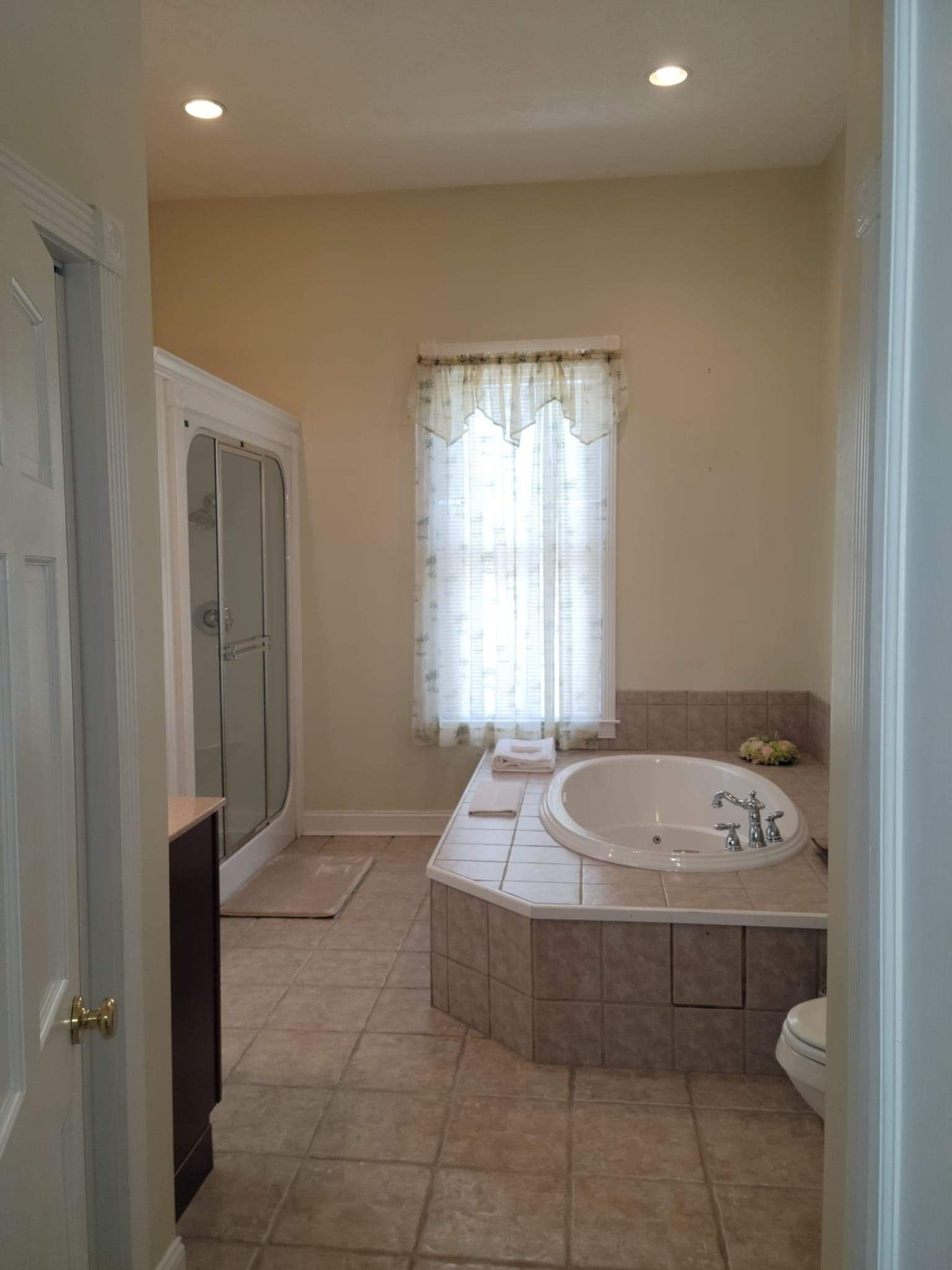 Bathtub, hair dryer, towels, soap