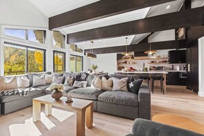 TV, fireplace, offices