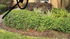 A two-story building with a beige exterior, a master suite private entrance, and a number 249 on the door. - Private Room In Regal Palms Resort, Davenport FL, Sleeps 2 (Davenport)