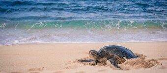 Beautifully Remodeled 3bedrooms/2bathrooms