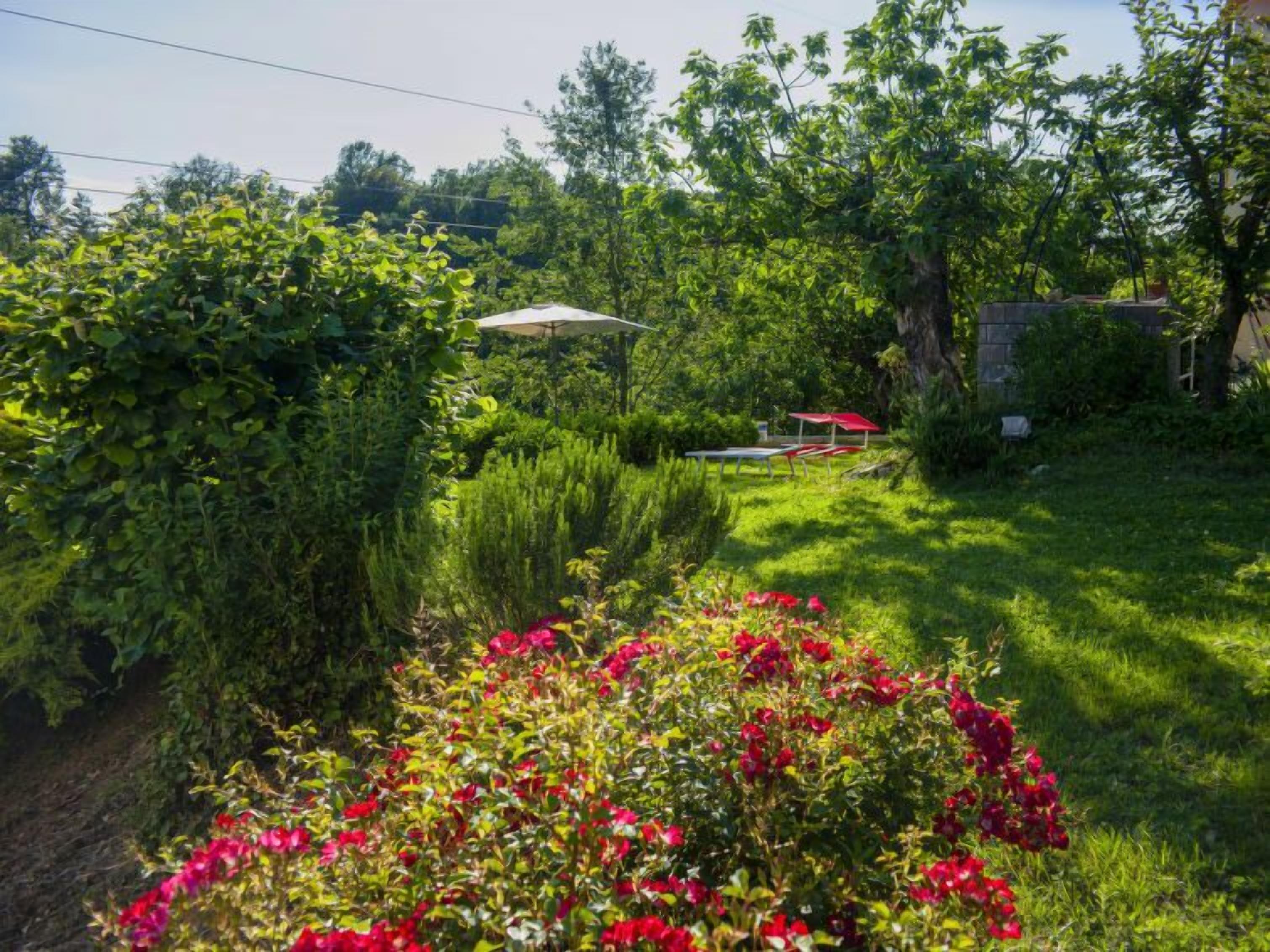 Parco della struttura