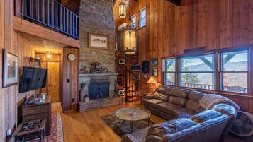 TV, fireplace, books
