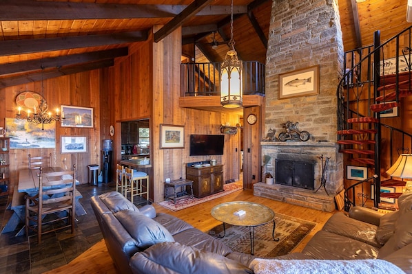 TV, fireplace, books