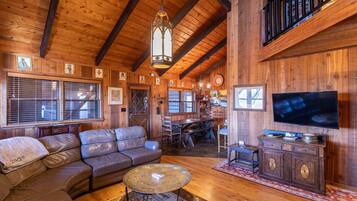 TV, fireplace, books