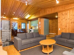 Fernseher, Kamin