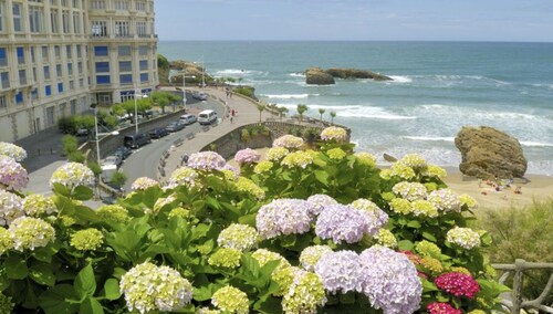 Maison atypique dans un havre de paix entre mer et forêt