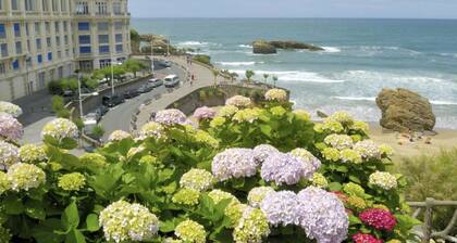 Maison atypique dans un havre de paix entre mer et forĂȘt