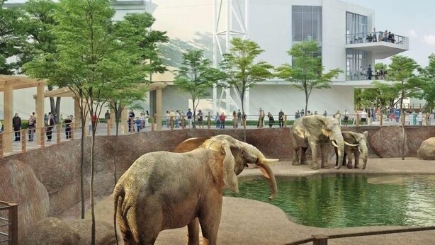 An elephant enclosure with a pool, surrounded by trees and a viewing platform. - Rare Find! 6 Bedroom Duplex, Close to Downtown! (Atlanta)