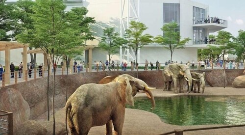 Rare Find! 6 Bedroom Duplex, Close to Downtown!