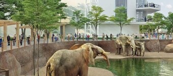 Rare Find! 6 Bedroom Duplex, Close to Downtown!