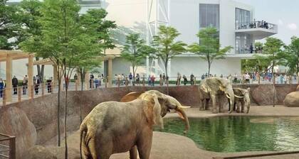 Rare Find! 6 Bedroom Duplex, Close to Downtown!