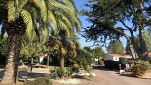 A residential street with palm trees, a road, and houses. - Chalet in a private park in Saint Pierre D'oléron (Saint-Pierre-d'Oléron)