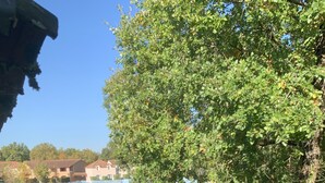 A well-maintained garden with neatly trimmed hedges and a variety of trees. - House in vacation village (Monflanquin)
