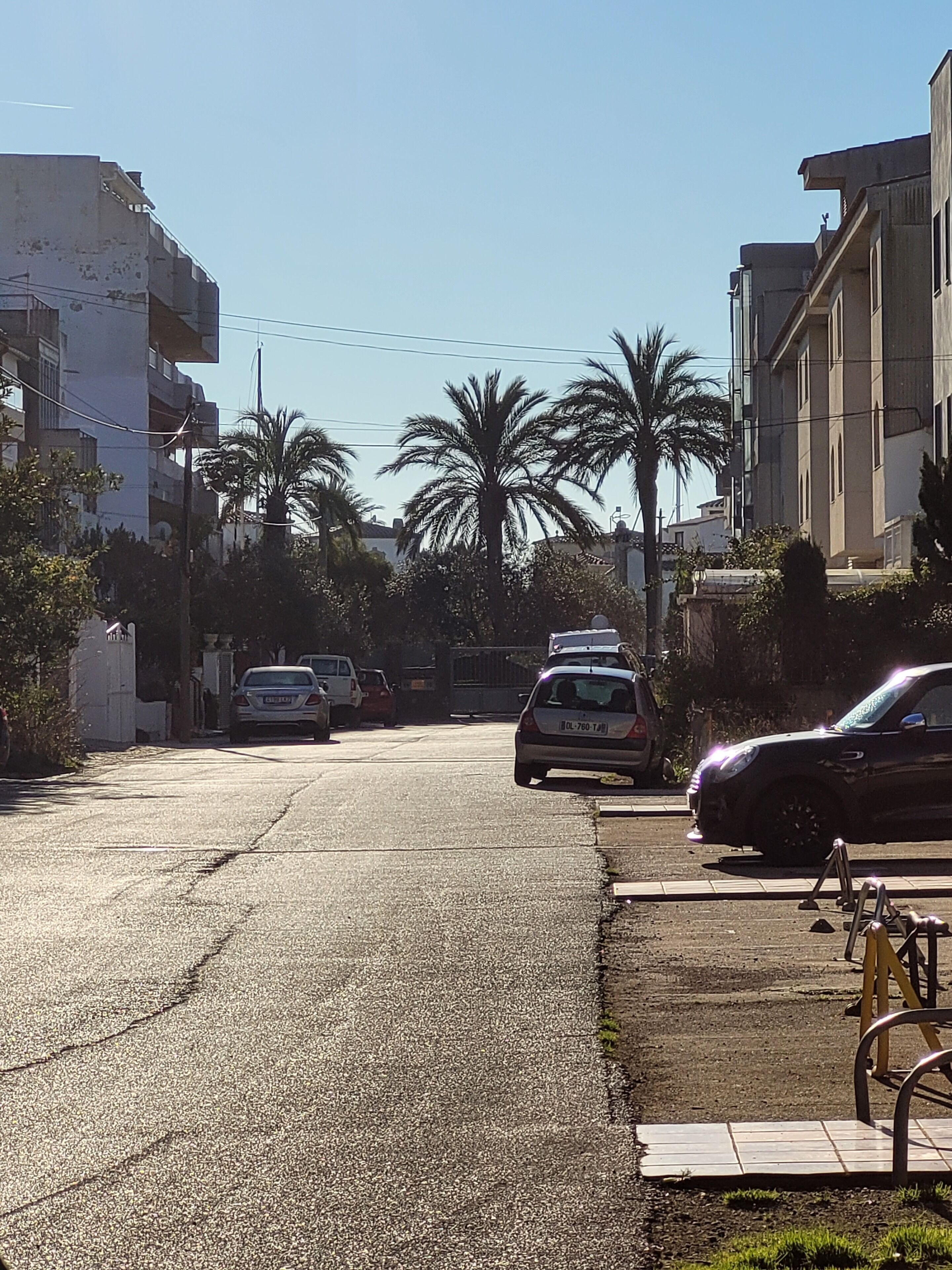 A street with parked cars, palm trees, and buildings.
