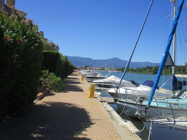 A marina with boats docked along a paved walkway.