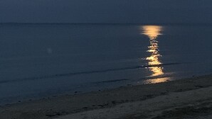 Eine Strandansicht mit ruhiger See, die Mondlicht spiegelt.
