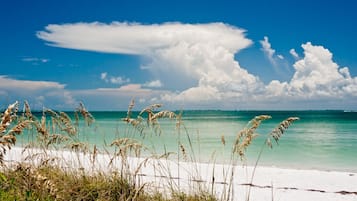 Beach nearby, sun loungers, beach towels