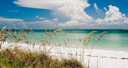 Ideal Location, Stunning Villa! Close to beach, beach gear provided!