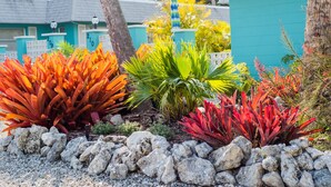 A garden with various plants and a building with teal siding. - Ideal Location, Stunning Villa! Close to beach, beach gear provided! (Anna Maria)
