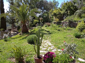 Área da propriedade