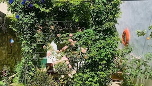 A garden with a variety of plants and flowers, including roses and blue flowers, with a stone wall and a small wooden structure. - House with garden downtown (Sète)