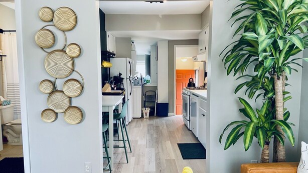 A modern kitchen with white cabinets, a dining area with a table and chairs, and a large potted plant.