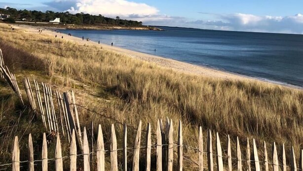 A beach with a wooden fence in the foreground, a clear blue sky, and a calm sea. - Je Recharge mes "batteries" à Sainte Marine (Combrit)