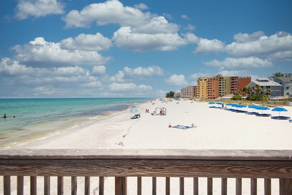 On the beach, sun-loungers, beach towels - Luxurious 3 Bedroom Beachfront Condo with Views and Oversized Balcony (Indian Shores)